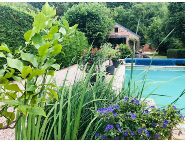 Bed and Breakfast La Mosane Profondeville Zewnętrze zdjęcie